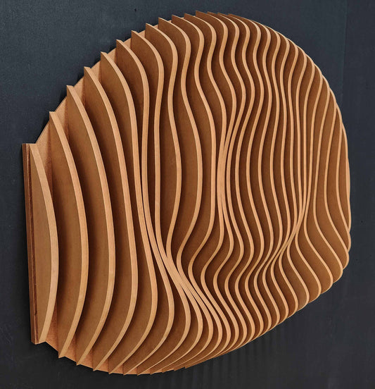 acoustic parametric wall art